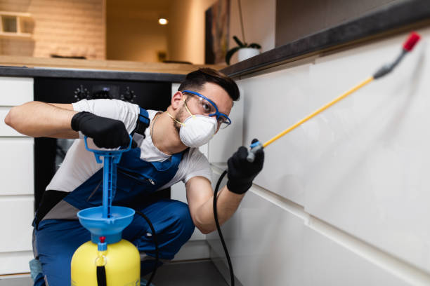 Best Exterminator Services  in Maplewood, MO
