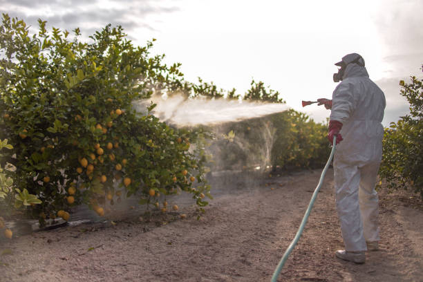Best Best Pest Control Companies  in Maplewood, MO