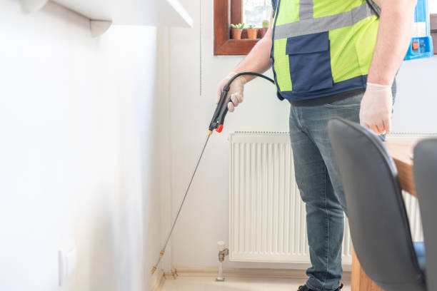 Best Rat Extermination Near Me  in Maplewood, MO