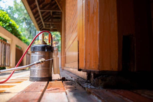 Best Affordable Pest Control Services  in Maplewood, MO