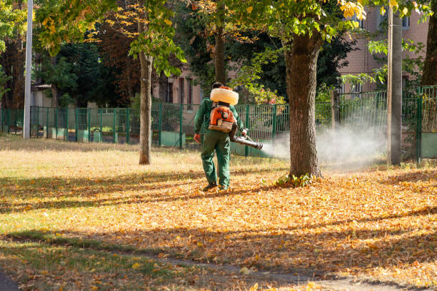 Best Mosquito Control Services  in Maplewood, MO